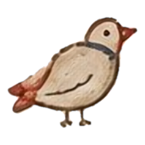 Gioielli